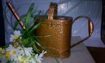 Highlight for Album: Copper Watering Can